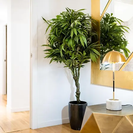 Apartment Moderno En Centro