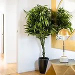 Apartamento Moderno En Centro