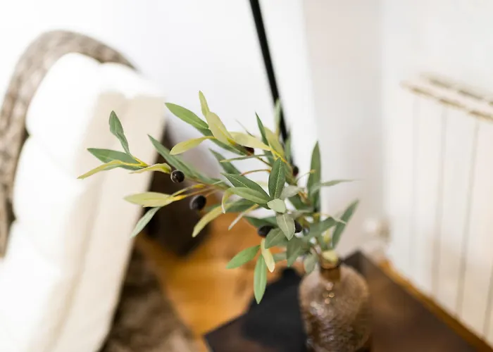 Moderno En Centro غرناطة